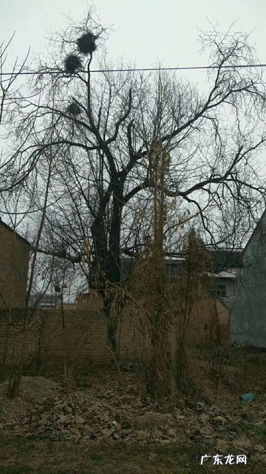 增加横财运的风水方法 横水和造水风水关系