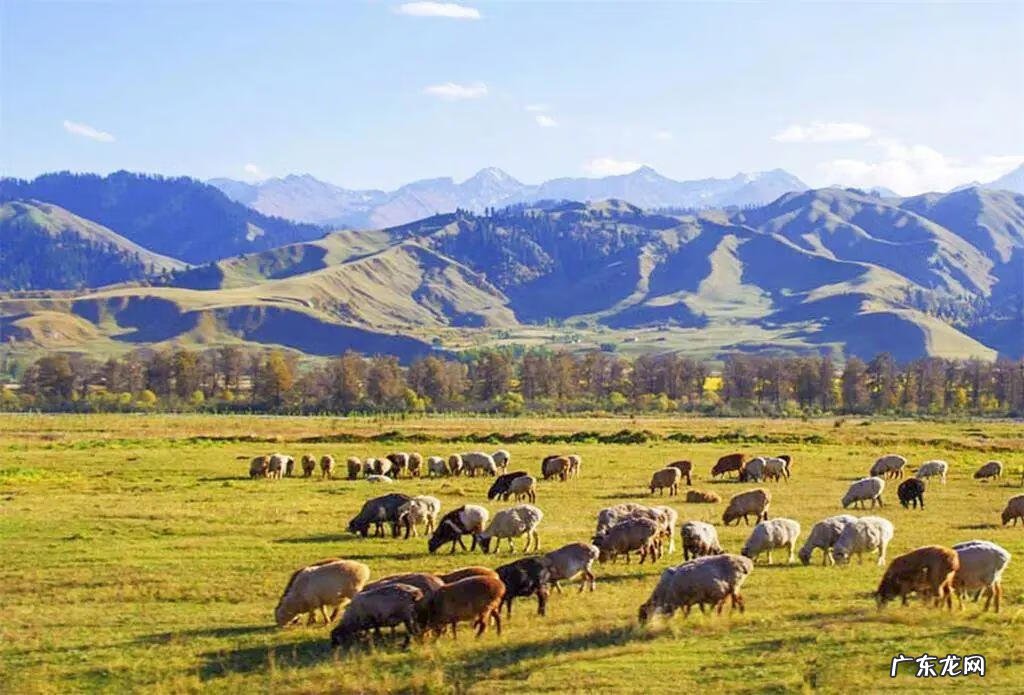 最好的风水是什么 在哪里有风水好的地方