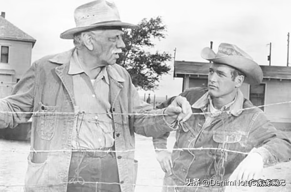 追风骑士 lee暴风骑士