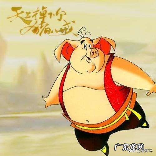 小猪历险记片名是什么 小猪历险记 动漫