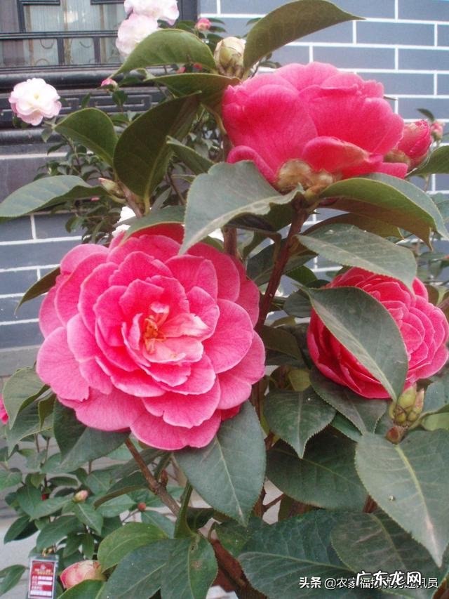 2030年太阳休眠,会使地球上的人们频临灭绝吗?