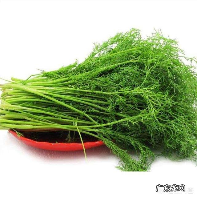 吃茴香有什么好处?