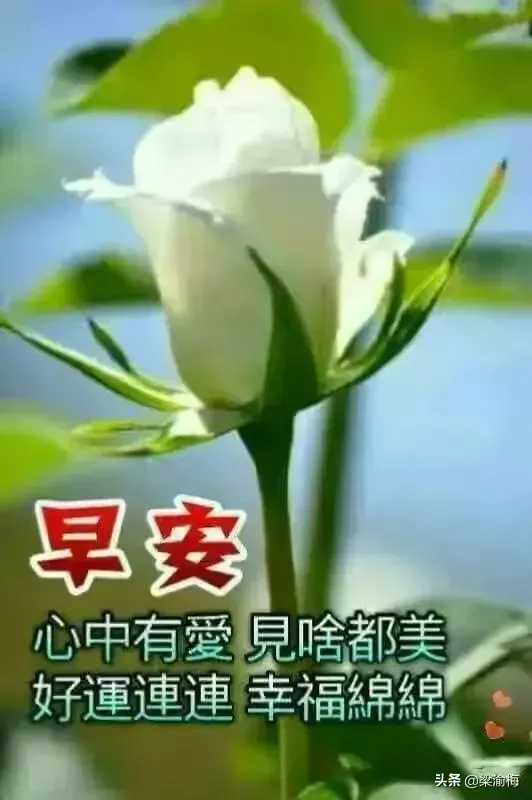 为什么今年过年除了不放鞭炮,连彼此间问候的信息也懒得发了呢?