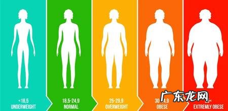 秋天该怎么“贴秋膘”