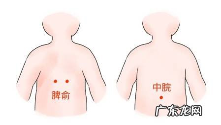 艾灸足三里，助力脾胃虚弱者“贴秋膘”