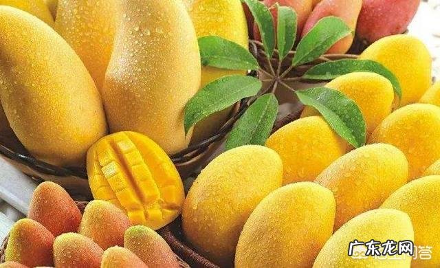 为什么说苹果是“水果之王”?