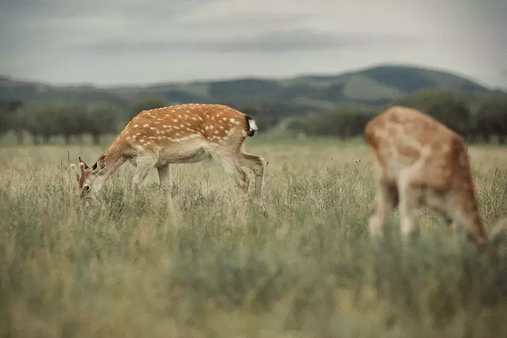 大富大贵的风水 21世纪最贵的风水