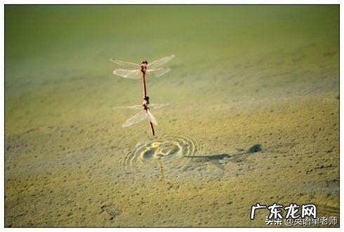 应该如何教小学生写诗?