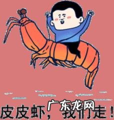 “免费”的核酸检查谁出的钱?