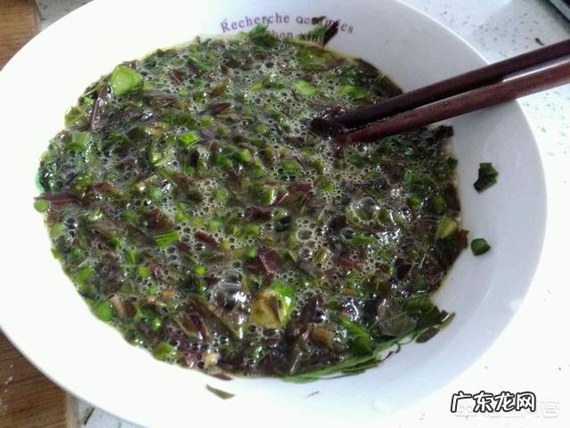 到农村挖野菜,有哪些野菜可以吃而且营养价值高?