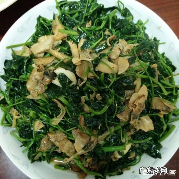 到农村挖野菜,有哪些野菜可以吃而且营养价值高?