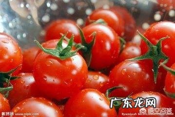 春季儿童吃什么蔬菜去火?