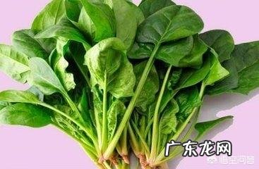 春季儿童吃什么蔬菜去火?