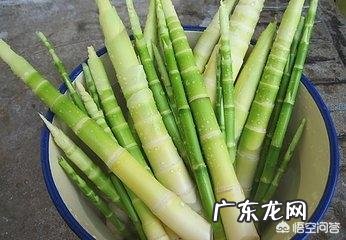 春季儿童吃什么蔬菜去火?