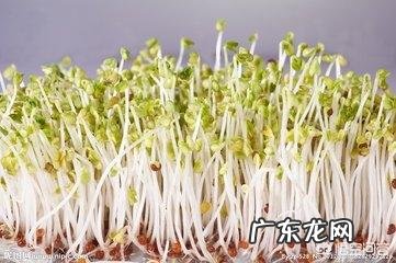 春季儿童吃什么蔬菜去火?