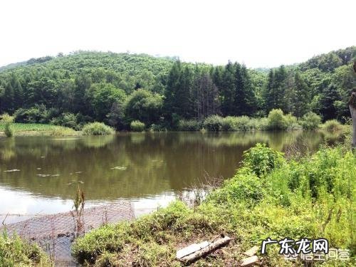 新鱼池怎样养鱼?