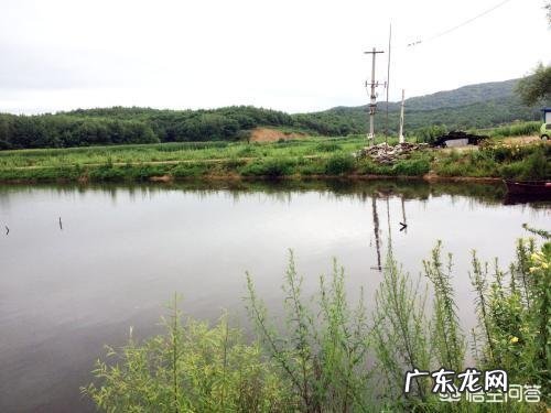 新鱼池怎样养鱼?