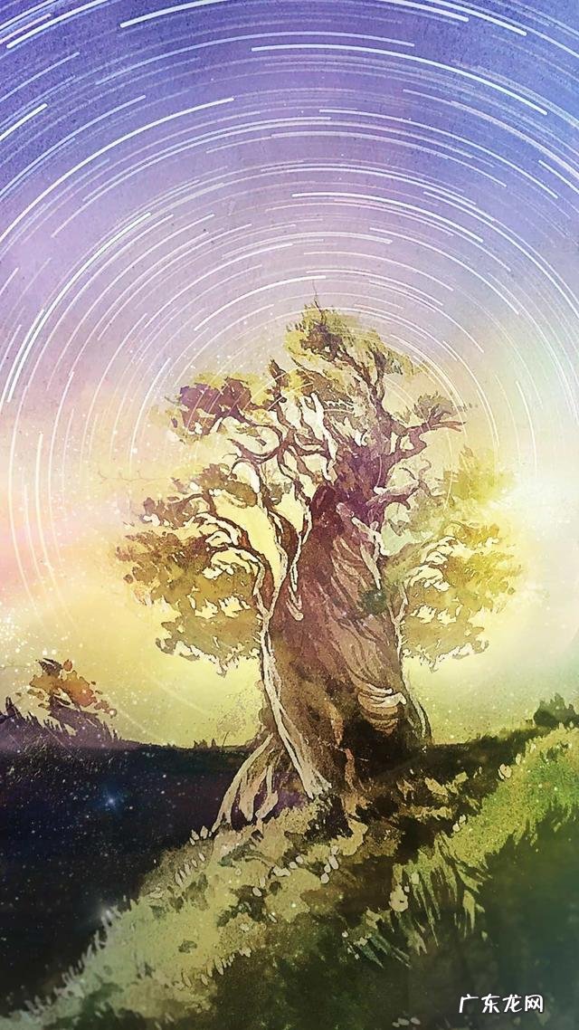 大家都有什么正能量的句子?