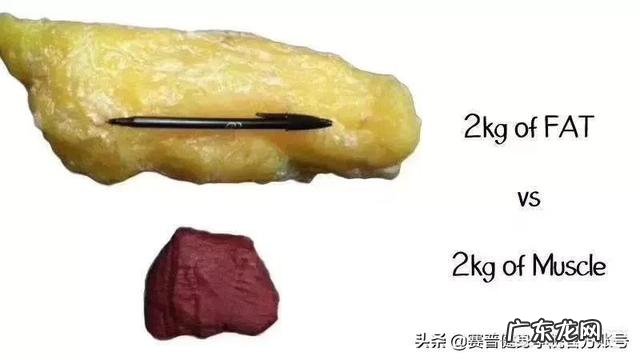 每天健身房健身俩小时,如何有效安排训练项目?