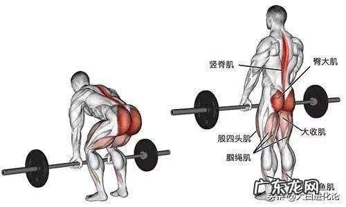 每天健身房健身俩小时，如何有效安排训练项目？