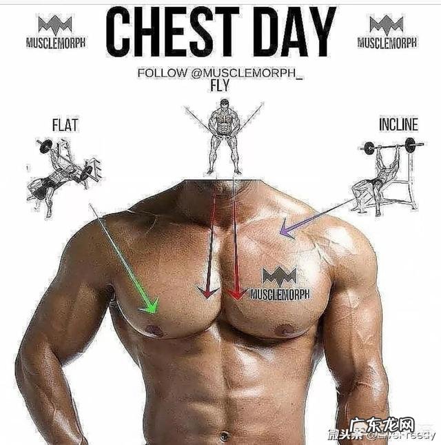 每天健身房健身俩小时，如何有效安排训练项目？