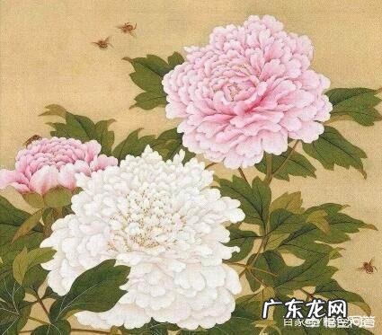 如果你的男朋友或者女朋友出轨了,你会怎么做?