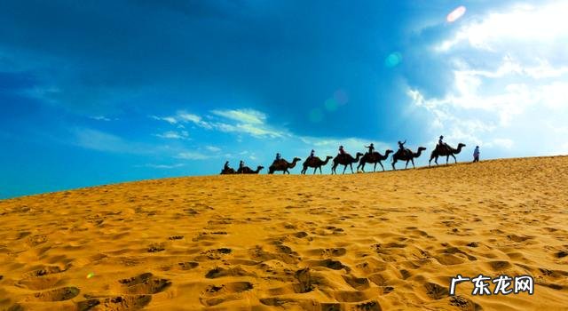 宁夏沙湖旅游攻略详解图片 宁夏沙湖风景照片