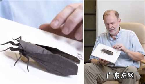 简单折纸100种折法飞镖 飞机折纸大全图解