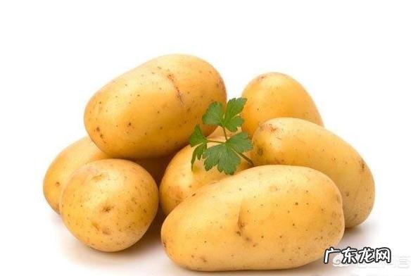 冬天吃什么食物能够补脾养胃?