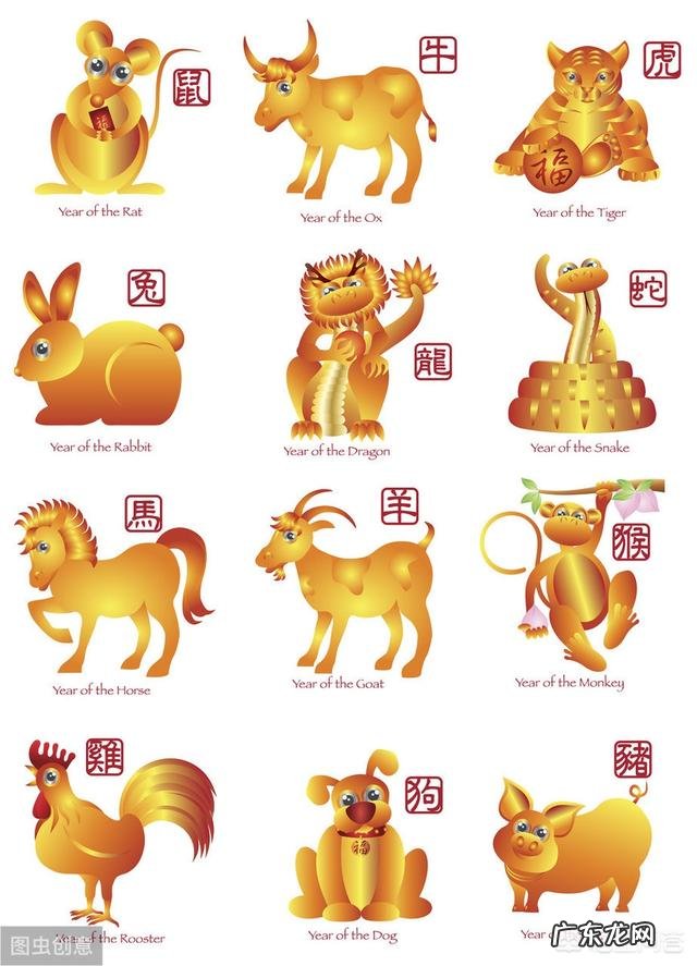 属鸡和属猪婚姻相配吗,怎么样?