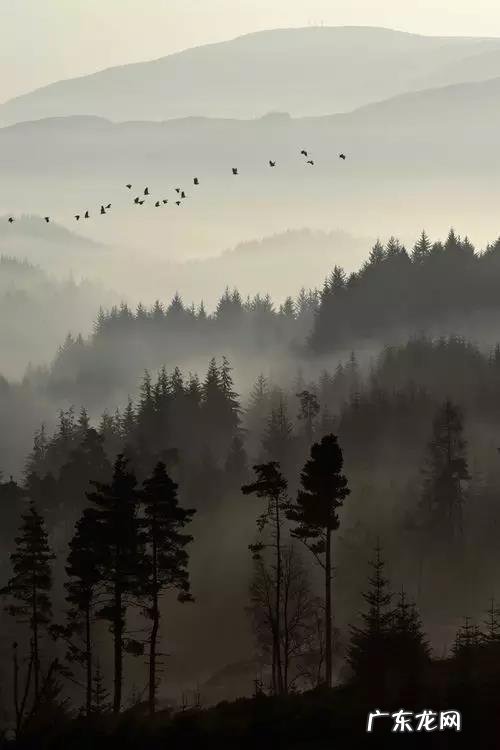 李白著名的诗30首 王维著名的诗30首七言