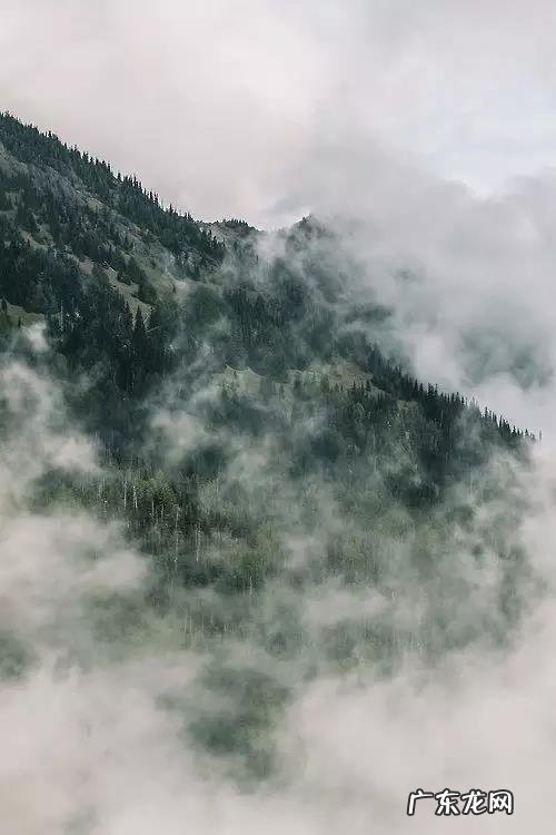 李白著名的诗30首 王维著名的诗30首七言