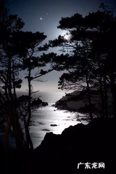 李白著名的诗30首 王维著名的诗30首七言