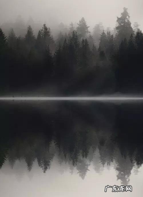 李白著名的诗30首 王维著名的诗30首七言