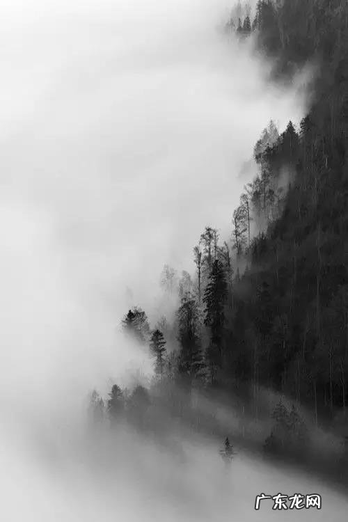 李白著名的诗30首 王维著名的诗30首七言