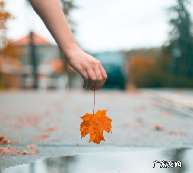 对比句怎么写简单? 对比句怎么写简单一点