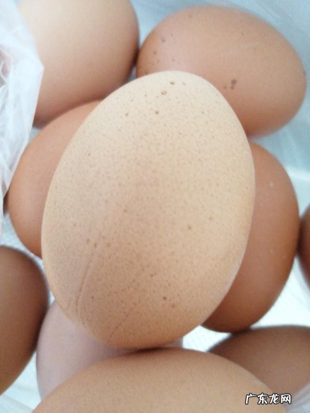 冷水煮鸡蛋好还是热水煮鸡蛋好?