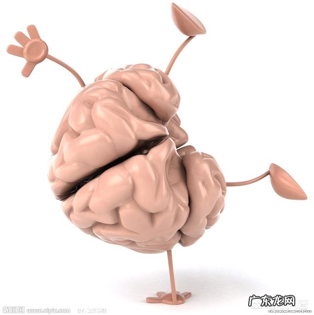 日常健脑食物有哪些呢？