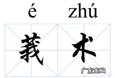 中药莪术有哪些功效与应用？