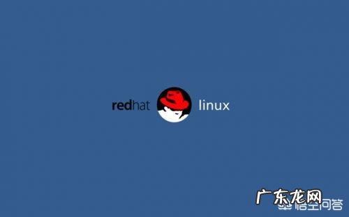 如果华为发布鸿蒙手机操作系统,国产软件会支持吗,形成一个生态系统吗?