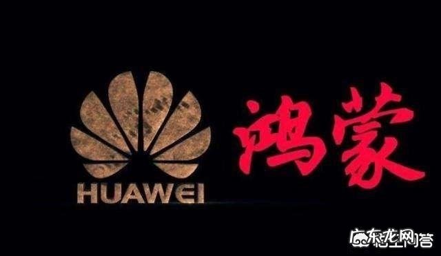 如果华为发布鸿蒙手机操作系统,国产软件会支持吗,形成一个生态系统吗?