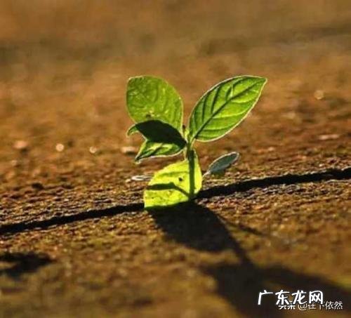 2020面对疫情怎么样才能更好的生存?