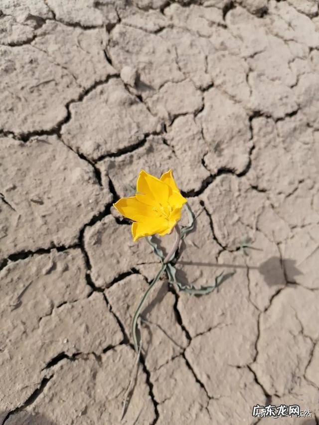 2020面对疫情怎么样才能更好的生存?