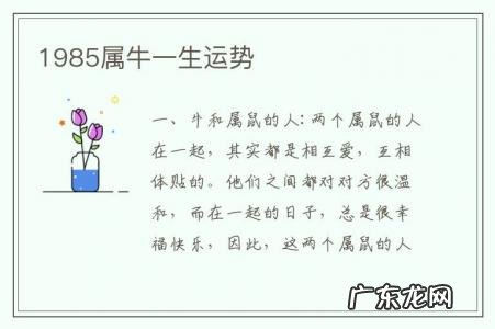 1985属牛一生运势-