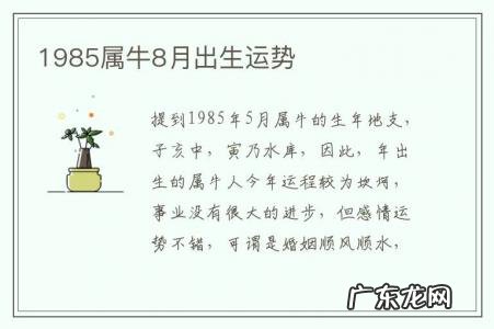 1985属牛8月出生运势-1985年农历8月出生的人