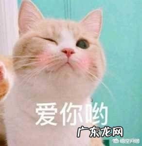 什么是爱，什么又是喜欢？爱有用吗？