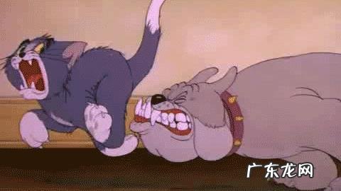 家里的狗咬伤了自己家的孩子,该如何处理?