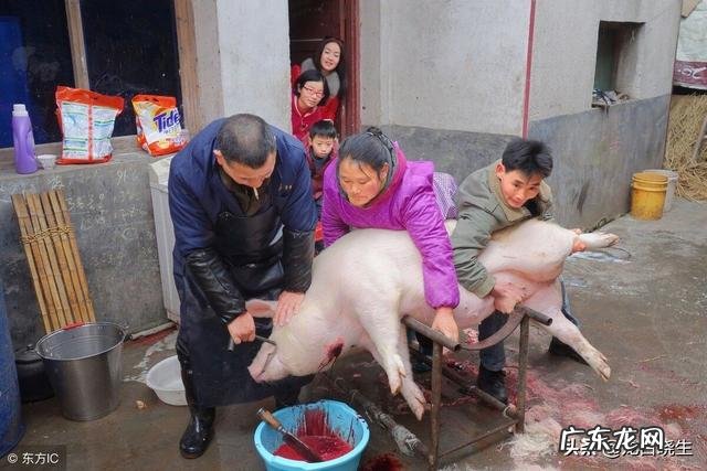 中国古代农民养的“六畜”都有啥？为何却只偏爱吃猪肉？