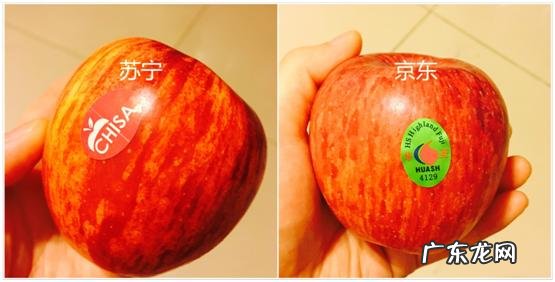 想网购水果,哪个平台便宜又新鲜?