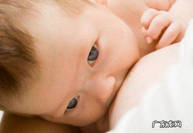 八个月的宝宝在喂养上要注意什么?